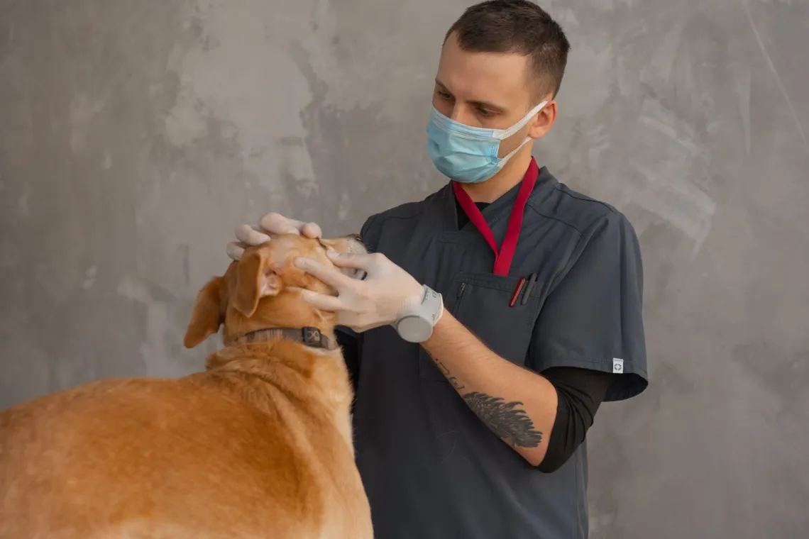 pexels_7468978.jpg Medicina Specialistica e Chirurgia Veterinaria Avanzata