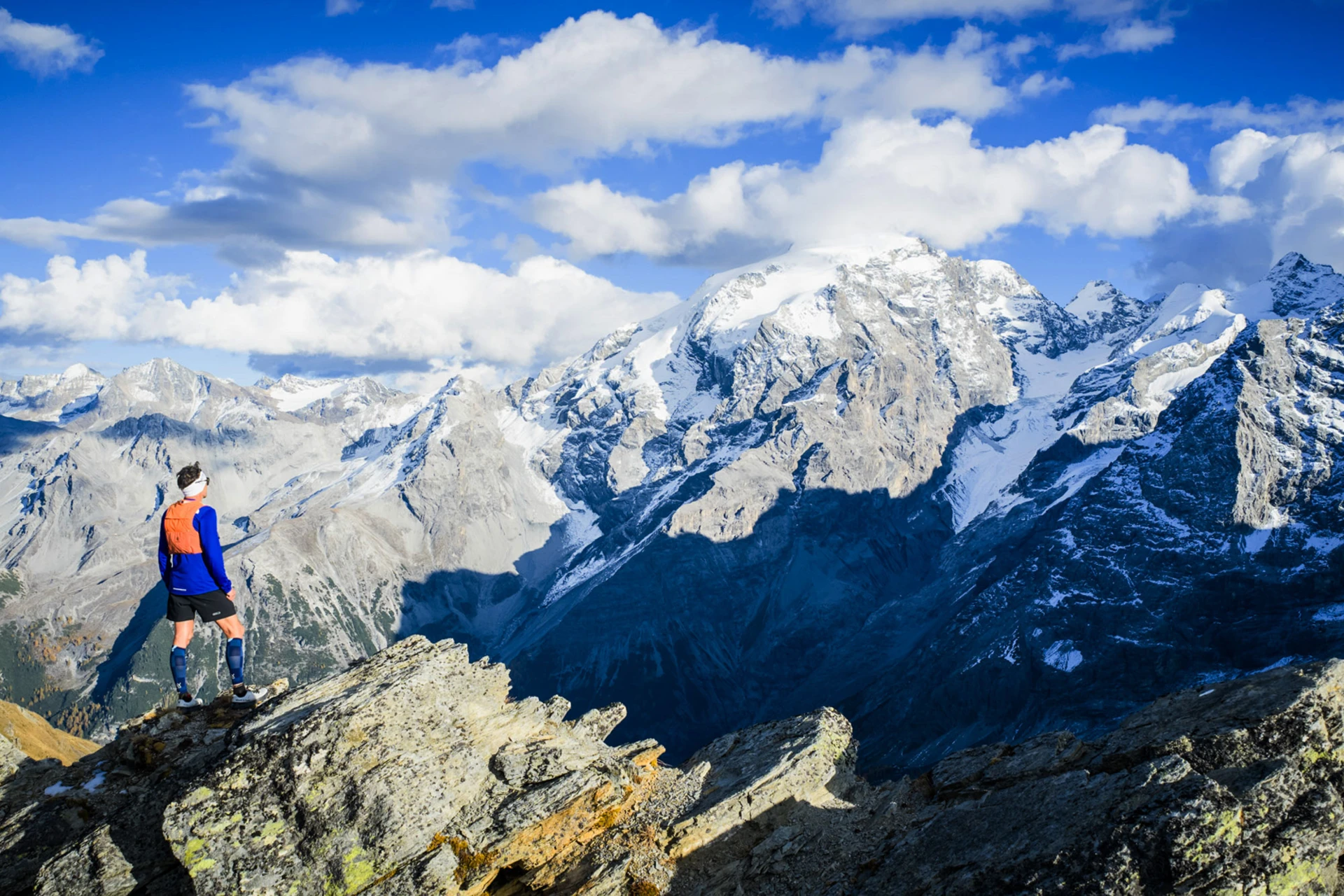 decorazione d'interni